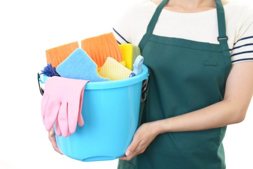 Professional oven cleaning service for a Knightsbridge kitchen