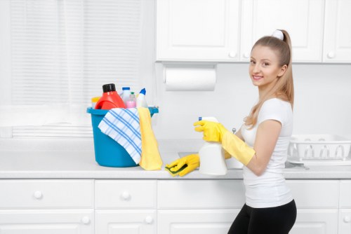 Professional one off cleaning service for Knightsbridge homes and flats