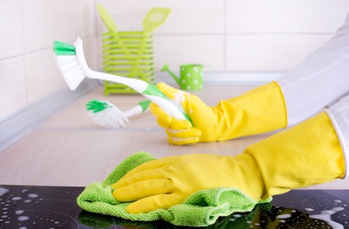 Technician treating a pet stain on upholstery in Knightsbridge