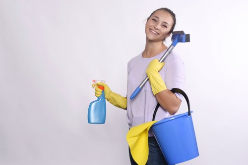 Regular housekeeping support for a Knightsbridge flat or townhouse