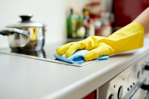 Domestic cleaning tasks including kitchen and bathroom care in Knightsbridge properties