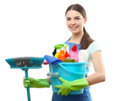 Local upholstery cleaner preparing a sofa cleaning service in Knightsbridge