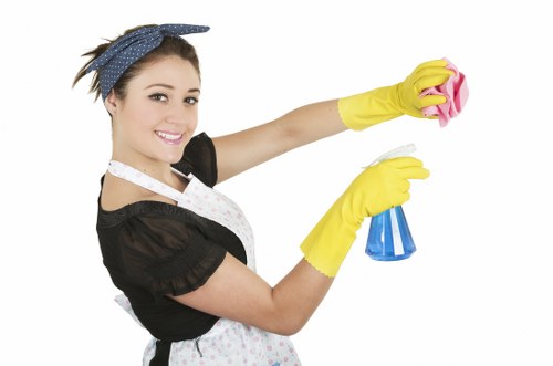 Detailed window cleaning service for a Knightsbridge shopfront